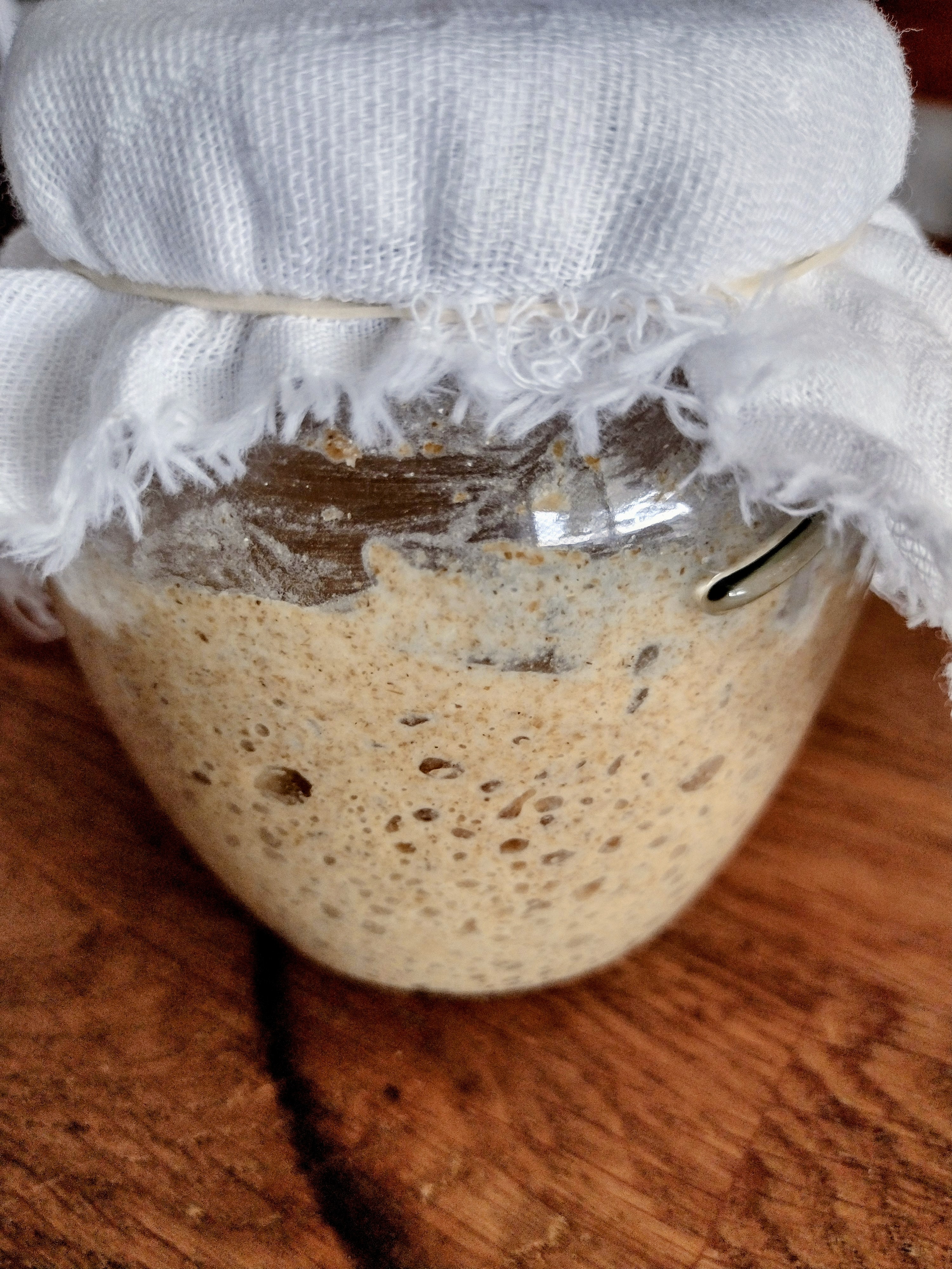 Sourdough Starter